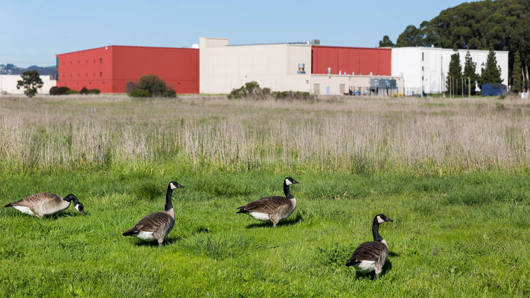 Richmond Field Station